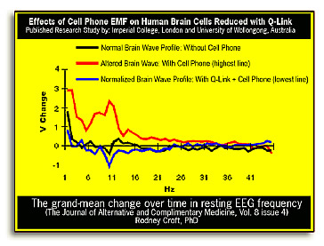 effects of cell phone emf on human brain
